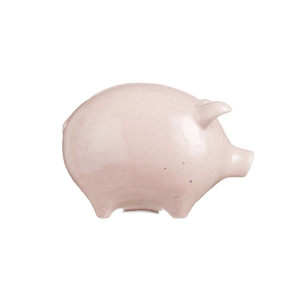 Копилка "Свинья" - Creative Co-Op арт. CDF1012, купить в интернет ...